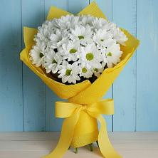 Букет цветов из:  Хризантемы в Николаевке Республики Мордовия