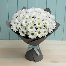 Букет цветов из:  Хризантемы #REPLACE_PRED# Николаевке Республики Мордовия