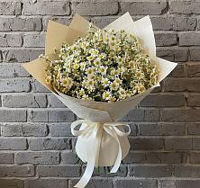 Букет цветов из:  Ромашки в Николаевке Республики Мордовия