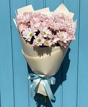 Букет цветов из:  Хризантемы в Николаевке Республики Мордовия