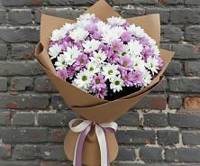 Букет цветов из:  Хризантемы в Николаевке Республики Мордовия