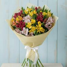 Букет цветов из:  Альстромерии в Николаевке Республики Мордовия