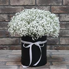 Цветочная композиция из Гипсофила в шляпной коробке в Николаевке Республики Мордовия