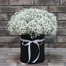 Цветочная композиция из Гипсофила в шляпной коробке в Николаевке Республики Мордовия