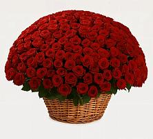 Премиум букет из: Розы в Николаевке Республики Мордовия
