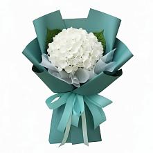 Букет цветов из:  Гортензия в Николаевке Республики Мордовия